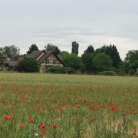 Du Clos Paisible Jebsheim